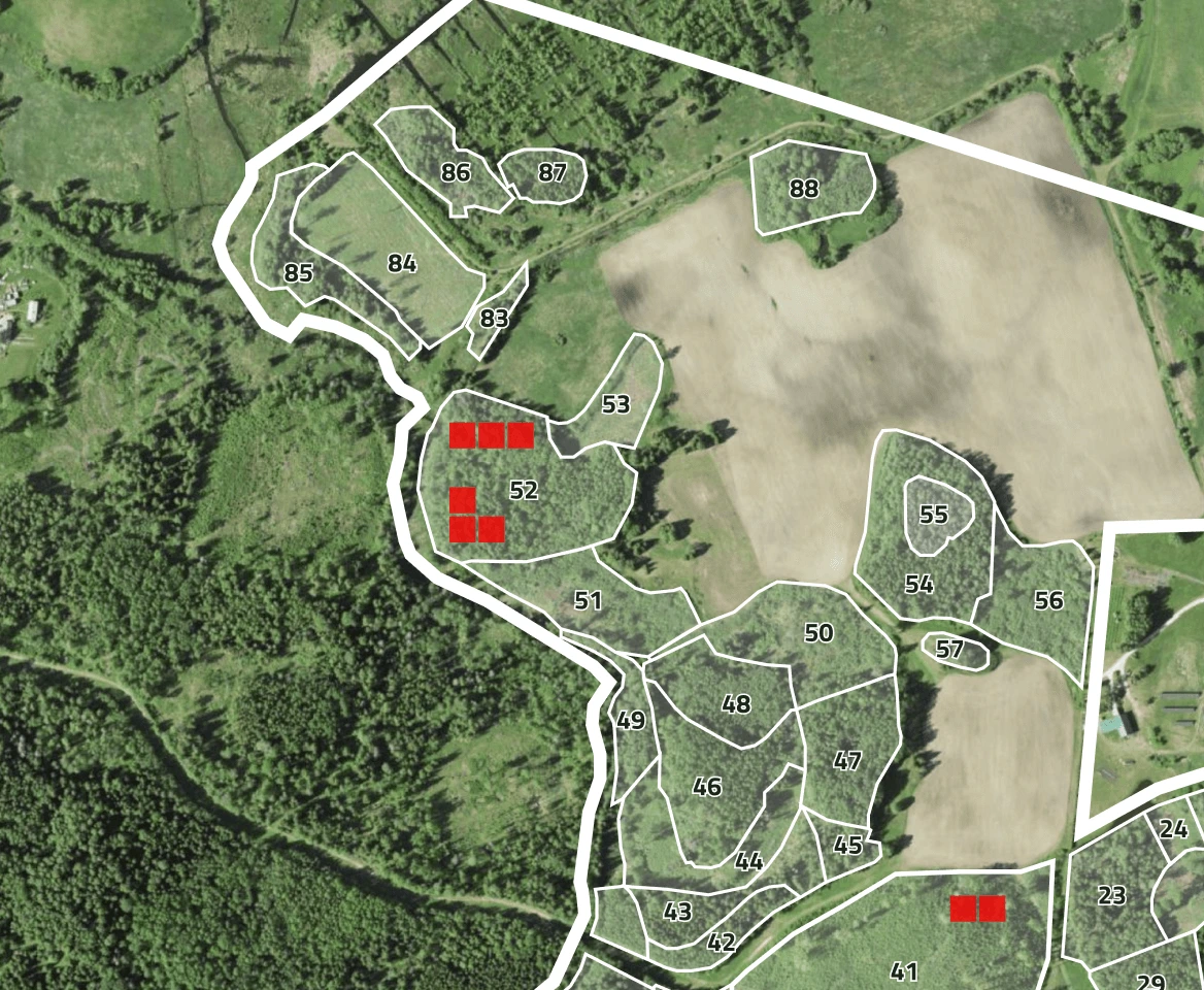 Forest damage detection